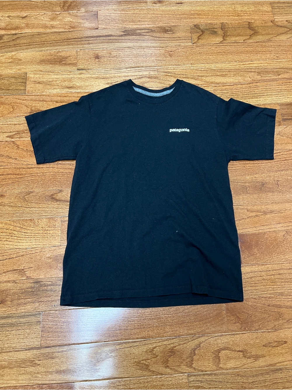 Patagonia Black Short-Sleeve Crew Tee with Back Logo